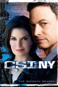 CSI: NY: Season 7