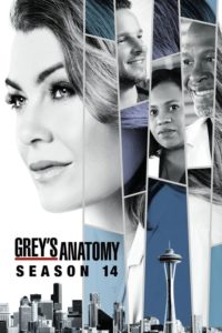 Grey’s Anatomy: Season 14