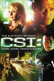 CSI – Den Tätern auf der Spur: Season 11