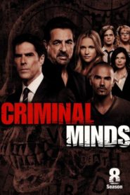 Criminal Minds: Season 8