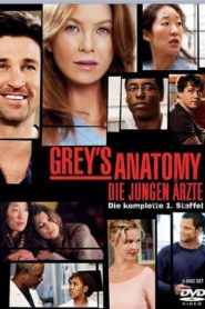 Grey’s Anatomy: Season 1