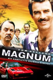 Magnum: Season 6
