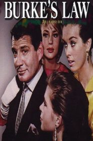 Burkes Gesetz : Season 2