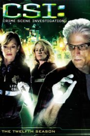 CSI – Den Tätern auf der Spur: Season 12