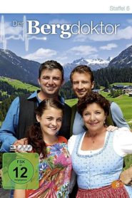 Der Bergdoktor: Season 6