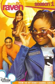 Raven blickt durch: Season 1