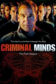 Criminal Minds: Season 1