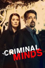 Criminal Minds: Season 15
