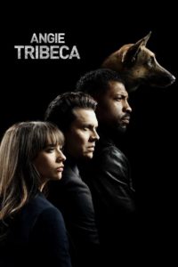 Angie Tribeca – Sonst nichts!: Season 1