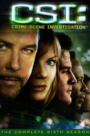 CSI – Den Tätern auf der Spur: Season 6