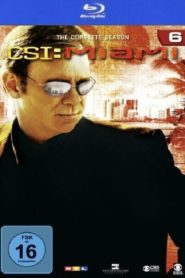 CSI: Miami: Season 6