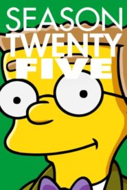 Die Simpsons: Season 25