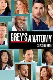 Grey’s Anatomy: Season 9