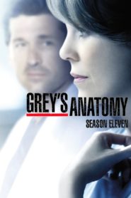 Grey’s Anatomy: Season 11
