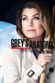 Grey’s Anatomy: Season 12