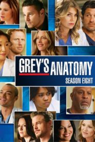 Grey’s Anatomy: Season 8