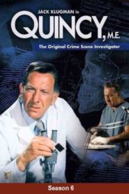 Quincy: Season 6