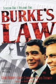Burkes Gesetz : Season 1
