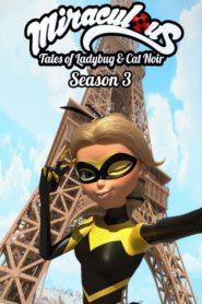 Miraculous – Geschichten von Ladybug und Cat Noir: Season 3