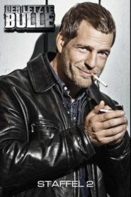 Der letzte Bulle: Season 2