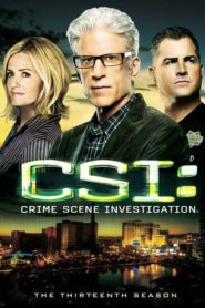 CSI – Den Tätern auf der Spur: Season 13