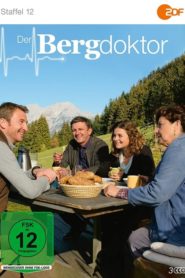 Der Bergdoktor: Season 12
