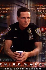 Third Watch – Einsatz am Limit: Season 6
