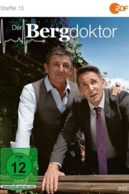 Der Bergdoktor: Season 13