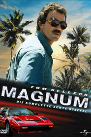 Magnum: Season 8