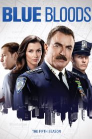 Blue Bloods: Season 5