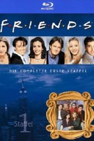 Friends: Season 1