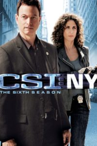 CSI: NY: Season 6