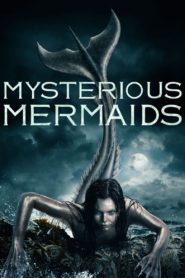 Mysterious Mermaids