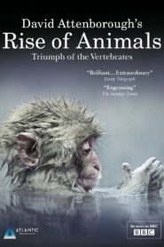 David Attenborough’s Rise of Animals: Triumph of the Vertebrates: Season 1