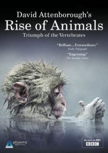 David Attenborough’s Rise of Animals: Triumph of the Vertebrates: Season 1