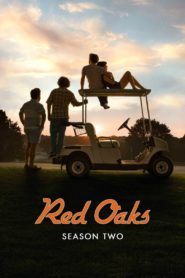 Red Oaks: Season 2
