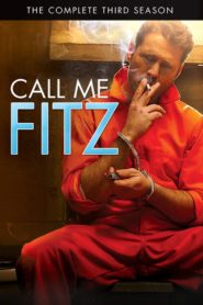 Call Me Fitz: Season 3