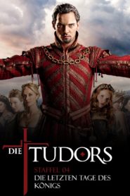 Die Tudors: Season 4