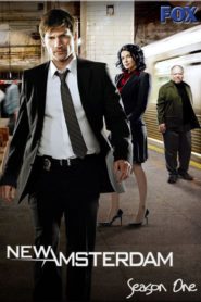 New Amsterdam: Season 1