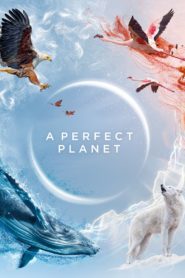 Ein perfekter Planet