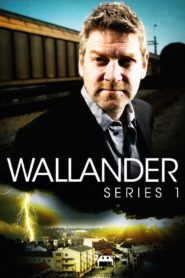 Kommissar Wallander: Season 1