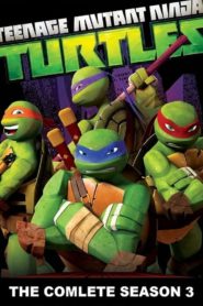 Teenage Mutant Ninja Turtles: Season 3