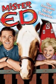 Mr. Ed: Season 3