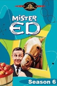 Mr. Ed: Season 6