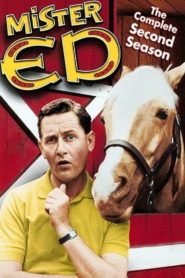 Mr. Ed: Season 2