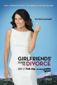 Girlfriends‘ Guide to Divorce: Season 1