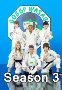 Karate-Chaoten: Season 3