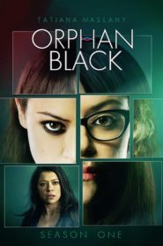 Orphan Black: Season 1