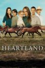 Heartland – Paradies für Pferde