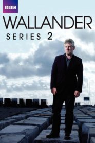 Kommissar Wallander: Season 2